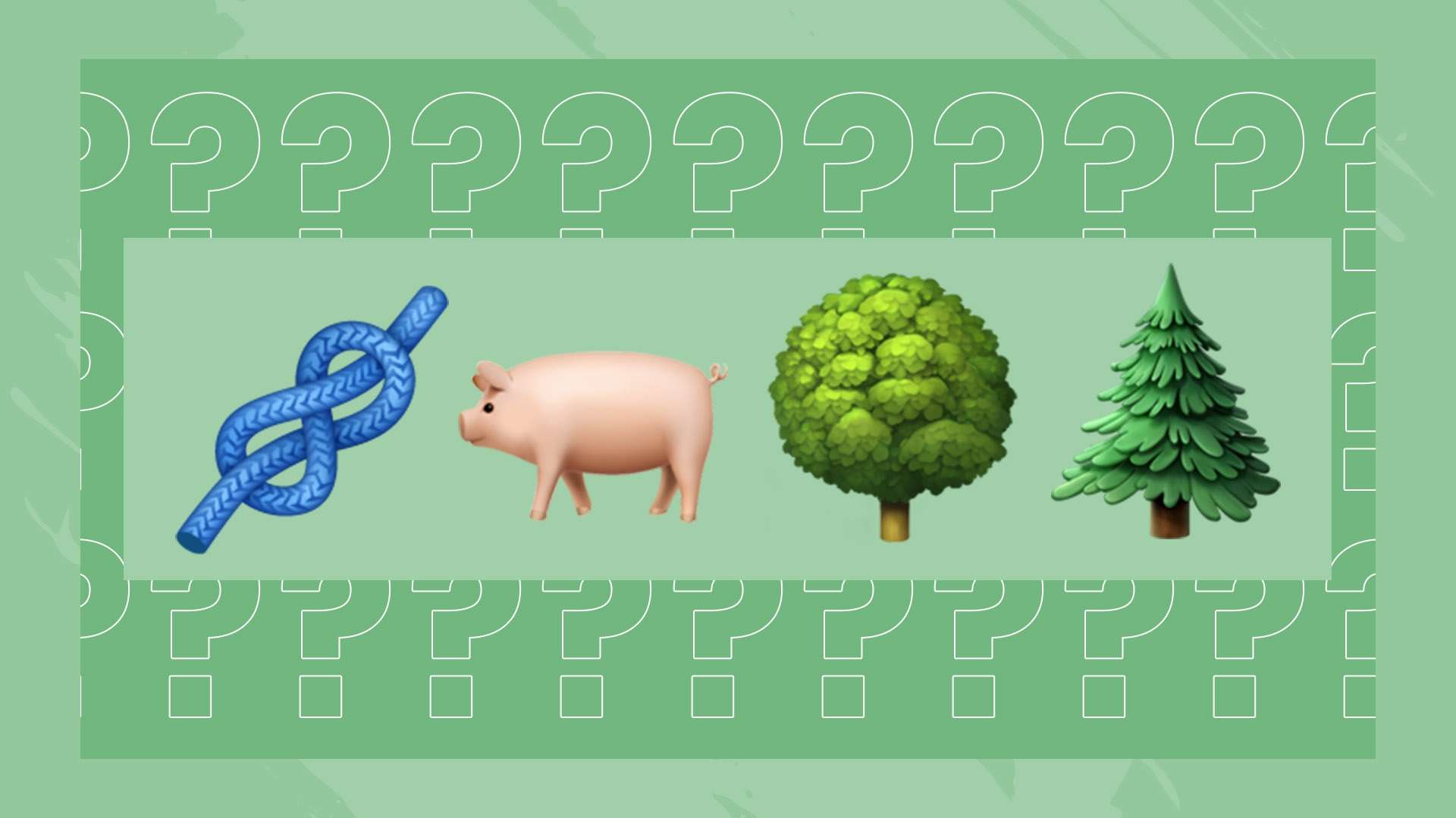 现在其年轻 现在其年轻